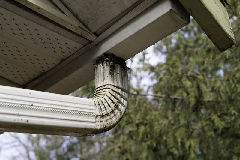 Gutter and Downspout Cleaning