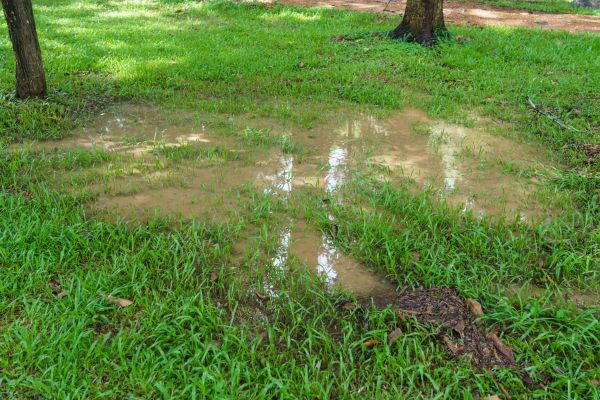 Storm Water Drainage Service in Chesapeake