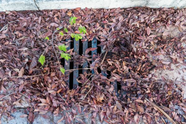 Yard Drain Unclogging in Chesapeake