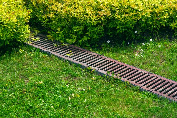 Lawn Drainage in Chesapeake