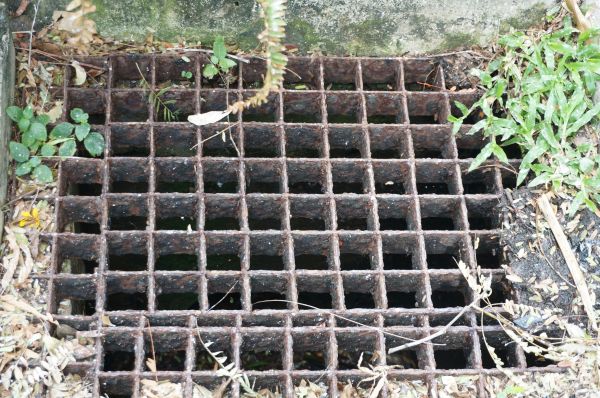 Yard Drain Cleaning in Chesapeake