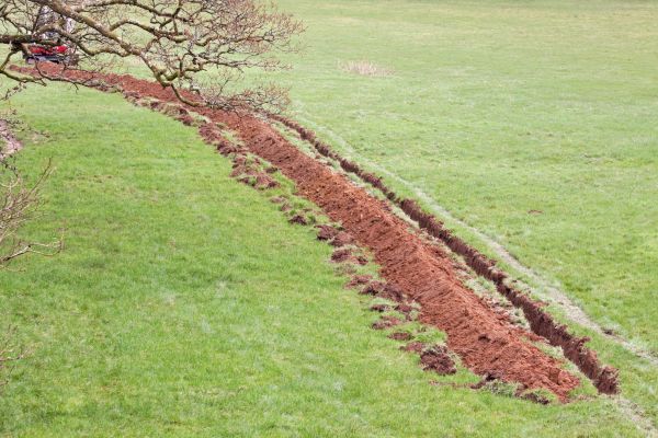 Cost of Swale Installation in Chesapeake