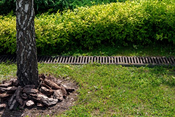 Garden Drainage Installation in Chesapeake