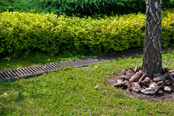 Residential Landscape Drainage in Chesapeake